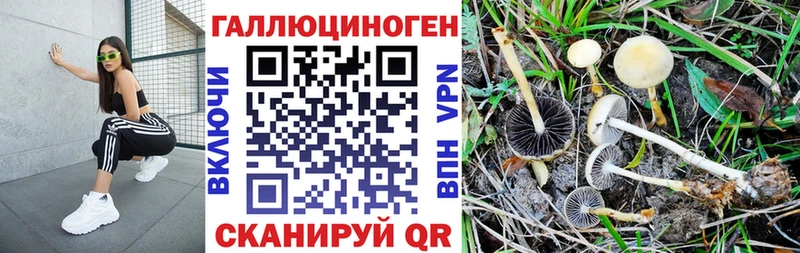 Галлюциногенные грибы ЛСД  Стародуб 